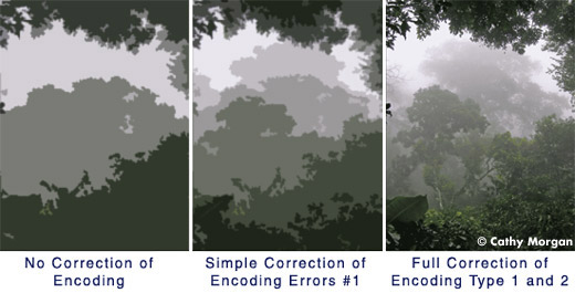 Illustration of the difference in precision of EMF3